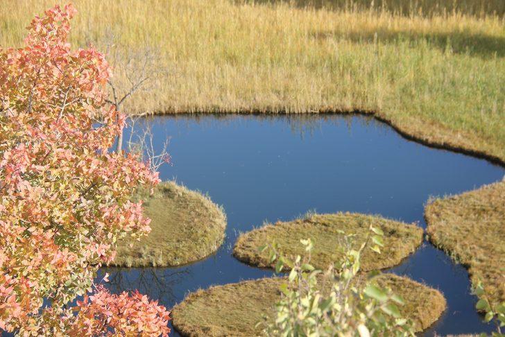 Bingöl'ün yüzen adaları sonbaharda ayrı güzel G1