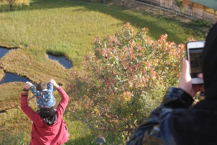 Bingöl'ün yüzen adaları sonbaharda ayrı güzel G3