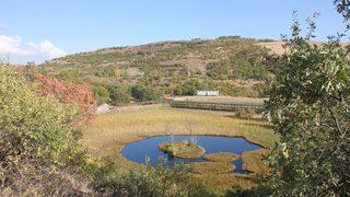 Bingöl'ün yüzen adaları sonbaharda ayrı güzel
