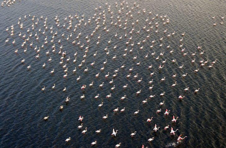 Binlercesi bir arada! Büyüleyen görüntü G2