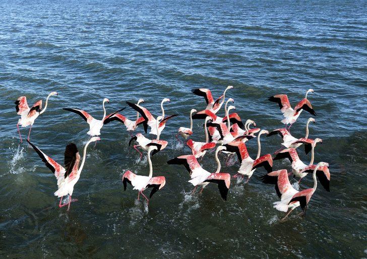 Binlercesi bir arada! Büyüleyen görüntü G3
