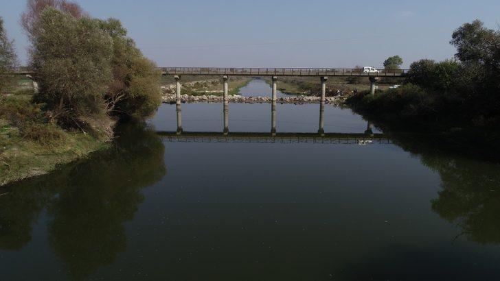 Bursa'da çevre felaketi! Vatandaşlar tedirgin: Böyle katliam olmaz G4