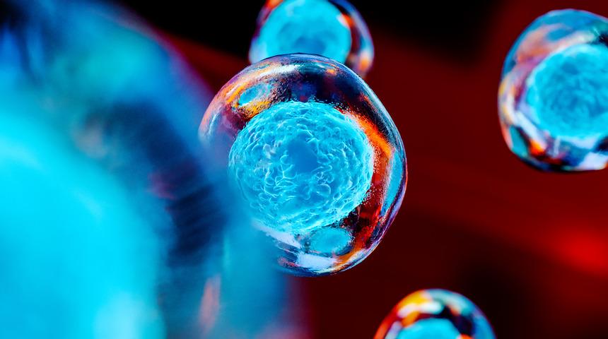 Koronavirüs'ten sonra yeni 'kaynağı belirlenemeyen' salgın alarmı!