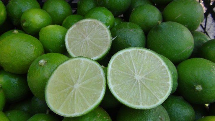 Lime cinsi limonun kilosu bahçede 10, markette 45 lira G1