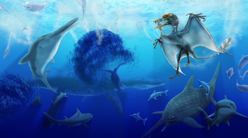 Polonya'da 150 milyon yıllık pliosaur fosili bulundu