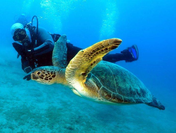 Kahreden tablo! Bu kez dalgıçlar görüntüledi G4