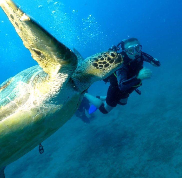 Kahreden tablo! Bu kez dalgıçlar görüntüledi G2
