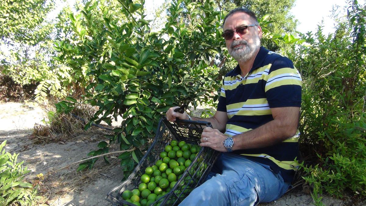 Lime cinsi limonun kilosu bah&ccedil;ede 10, markette 45 lira
