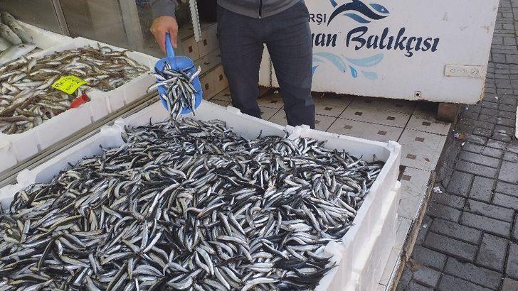 Fiyatlar düşünce vatandaş ilgi göstermeye başladı! Hamsi fiyatı Karadeniz’de 7 TL’ye düştü G3