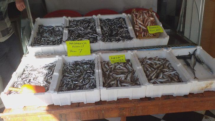 Fiyatlar düşünce vatandaş ilgi göstermeye başladı! Hamsi fiyatı Karadeniz’de 7 TL’ye düştü G4