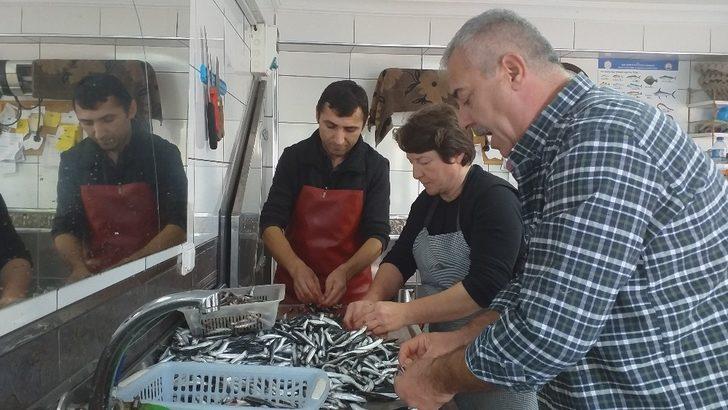 Fiyatlar düşünce vatandaş ilgi göstermeye başladı! Hamsi fiyatı Karadeniz’de 7 TL’ye düştü G5