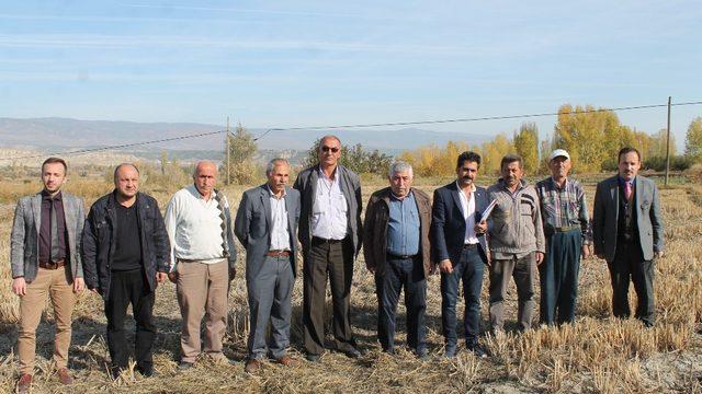 ’Tosya Pirinci’nin coğrafi işaret denetimleri başladı