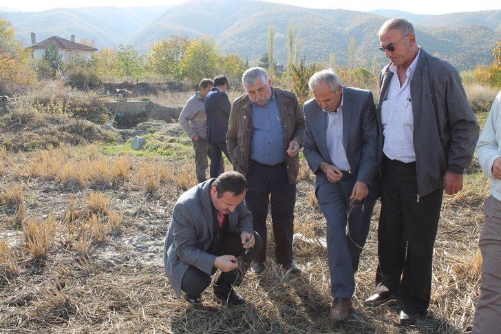 ’Tosya Pirinci’nin coğrafi işaret denetimleri başladı G4