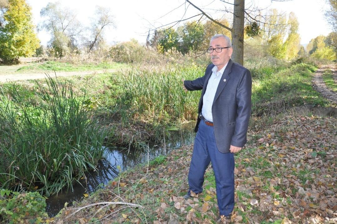 Balaban &Ccedil;ayı&rsquo;na ilk neşter
