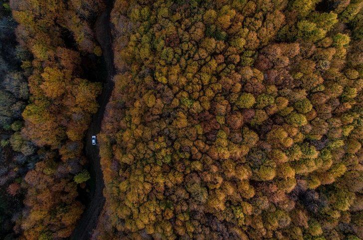 Kışın gözdesi Uludağ sonbaharda da göz kamaştırıyor G1