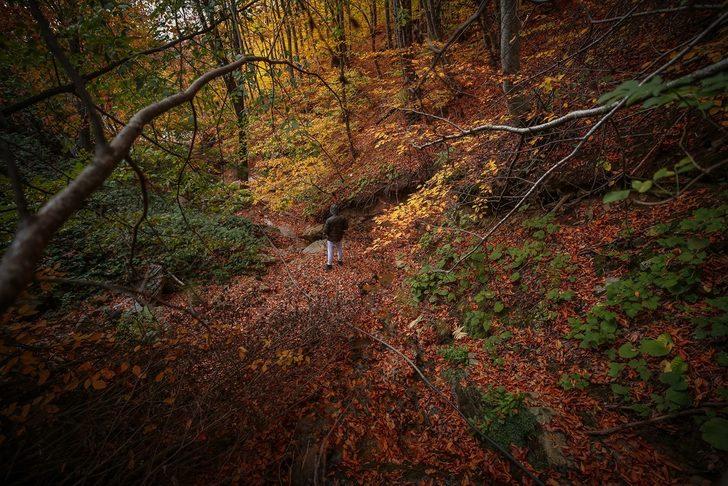 Kışın gözdesi Uludağ sonbaharda da göz kamaştırıyor G2