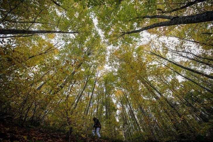 Kışın gözdesi Uludağ sonbaharda da göz kamaştırıyor G3