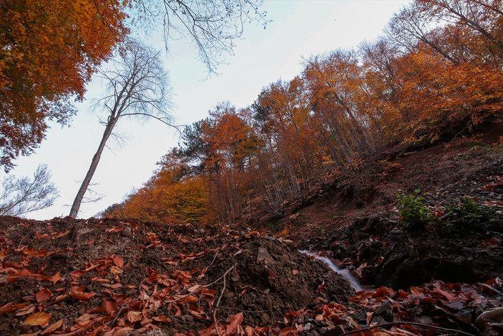 Kışın gözdesi Uludağ sonbaharda da göz kamaştırıyor G5