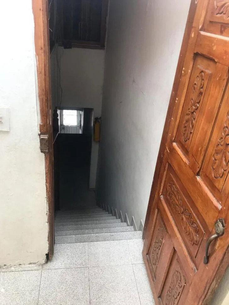 Kahraman kedi, bebeğin hayatını böyle kurtardı! G5