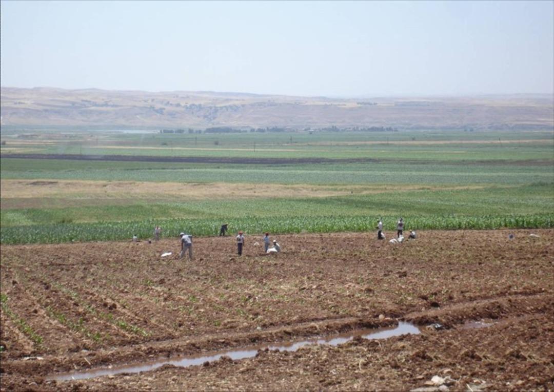 Batman&rsquo;da 27 bin dekar tarım arazisi sulandı