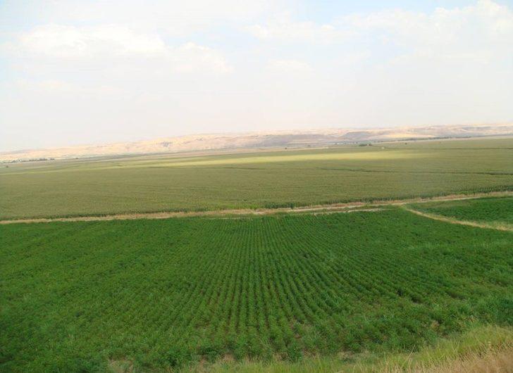 Batman’da 27 bin dekar tarım arazisi sulandı G2