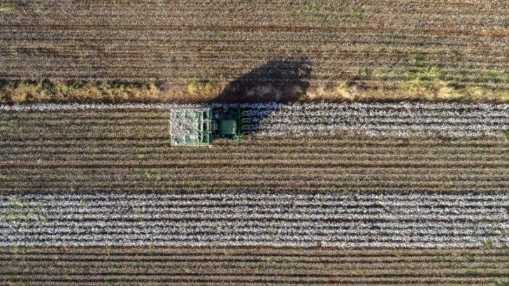 Mardin’de 20 bin dekar tarım arazisi sulandı G1