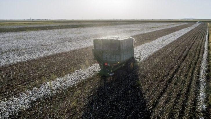 Mardin’de 20 bin dekar tarım arazisi sulandı G3