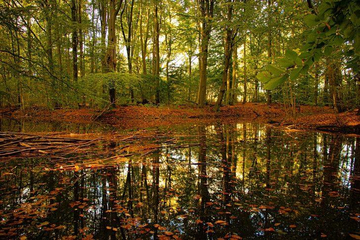  Hollanda'da sonbahar G2