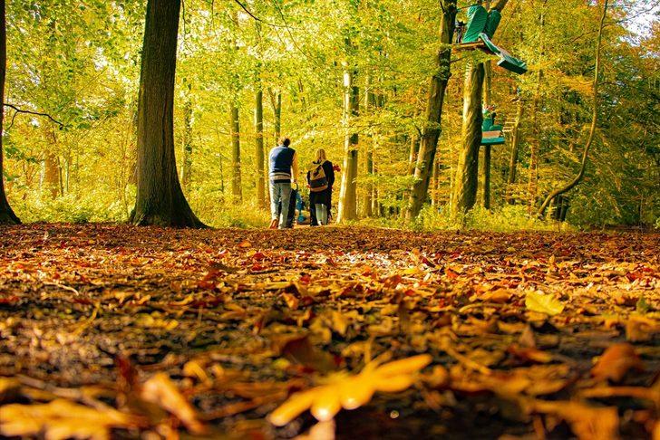  Hollanda'da sonbahar G5