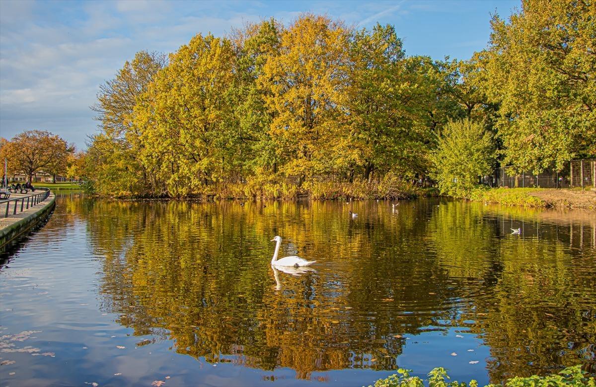  Hollanda'da sonbahar