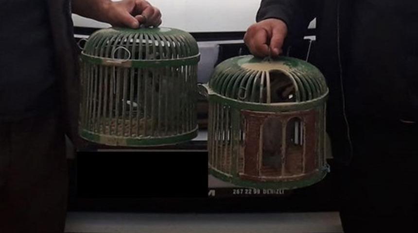 Isparta’da canlı mühre ve tuzaklı keklik avına 3 bin 304 lira ceza