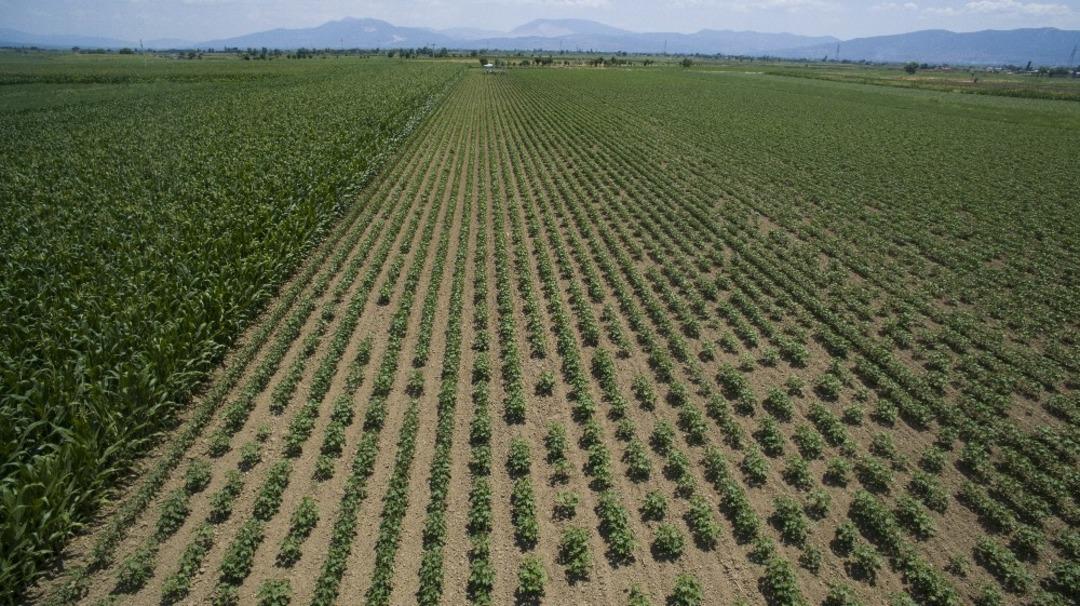 Şırnak&rsquo;ta 11 bin 908 dekar tarım arazisi sulandı