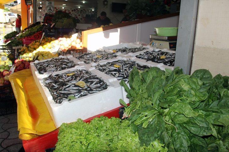 Hamsi alana ıspanak bedava G1