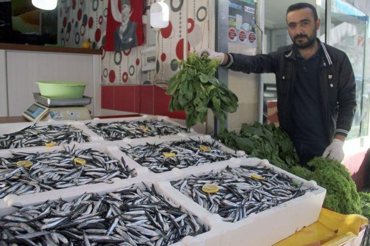 Hamsi alana ıspanak bedava G2