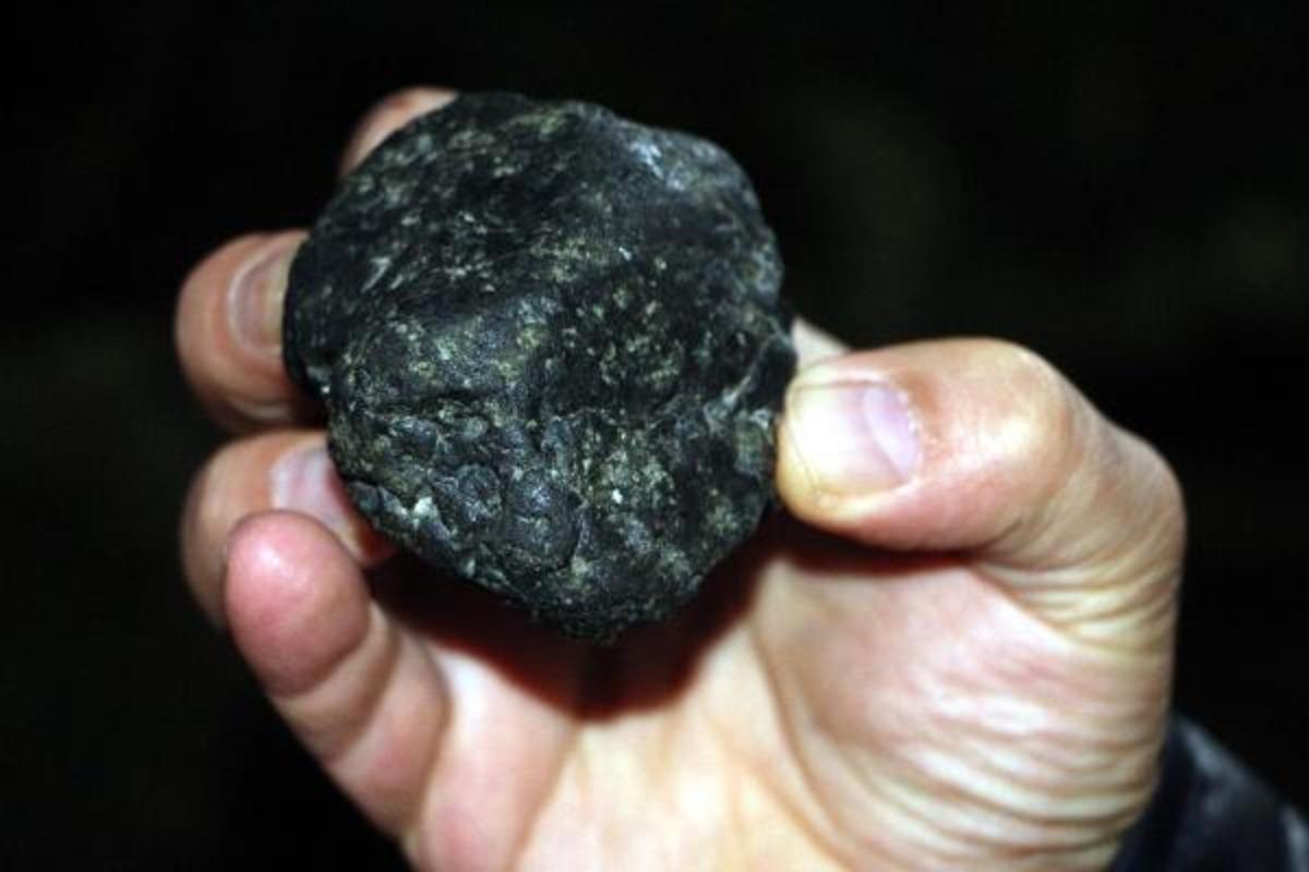 Tokat'ta parkta buldu, 'g&ouml;k taşı' olduğunu iddia etti  