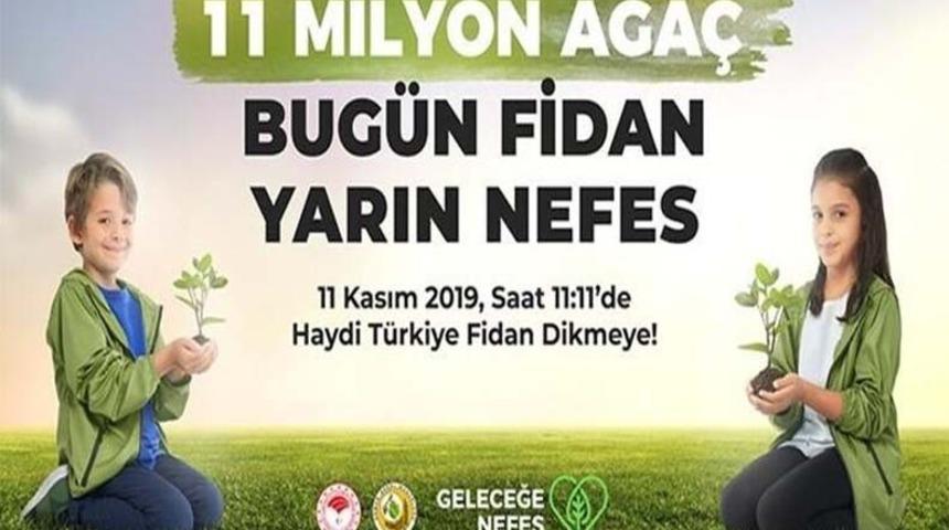 Bafra 11 milyon ağaç için buluşuyor