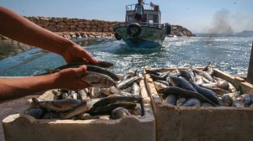 Van Gölü’ndeki kayıtlı balıkçı teknelerine destek