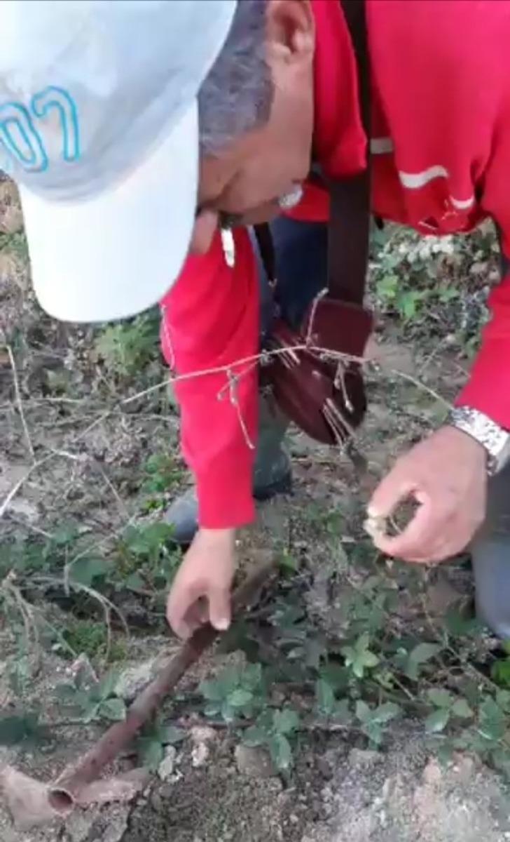 Bursa'da bir günde 5 kilogram trüf mantarı topladı, zengin oldu! G2