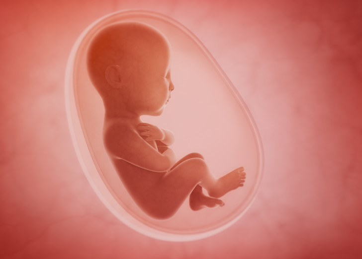 Elinizin altında olacak! Her gün badem yemeye başlarsanız vücudunuza olan 5 şey G3