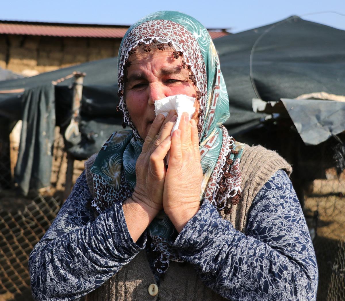 Koyunları &ccedil;alınan Ayşe teyze g&ouml;zyaşlarını tutamadı: Y&uuml;reğim yanıyor