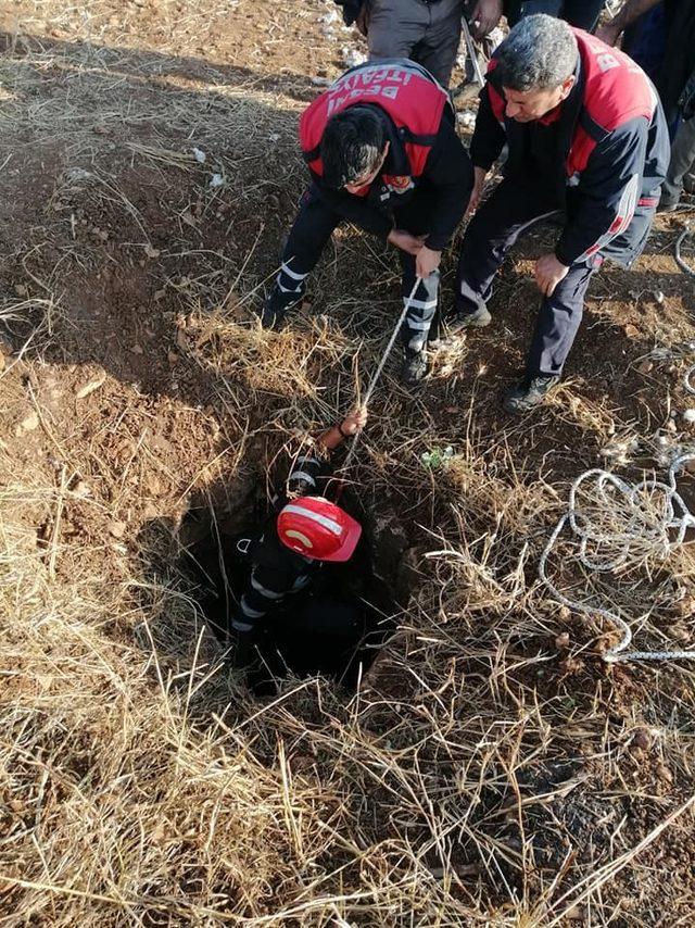 Kuyuya düşen oğlak kurtarıldı