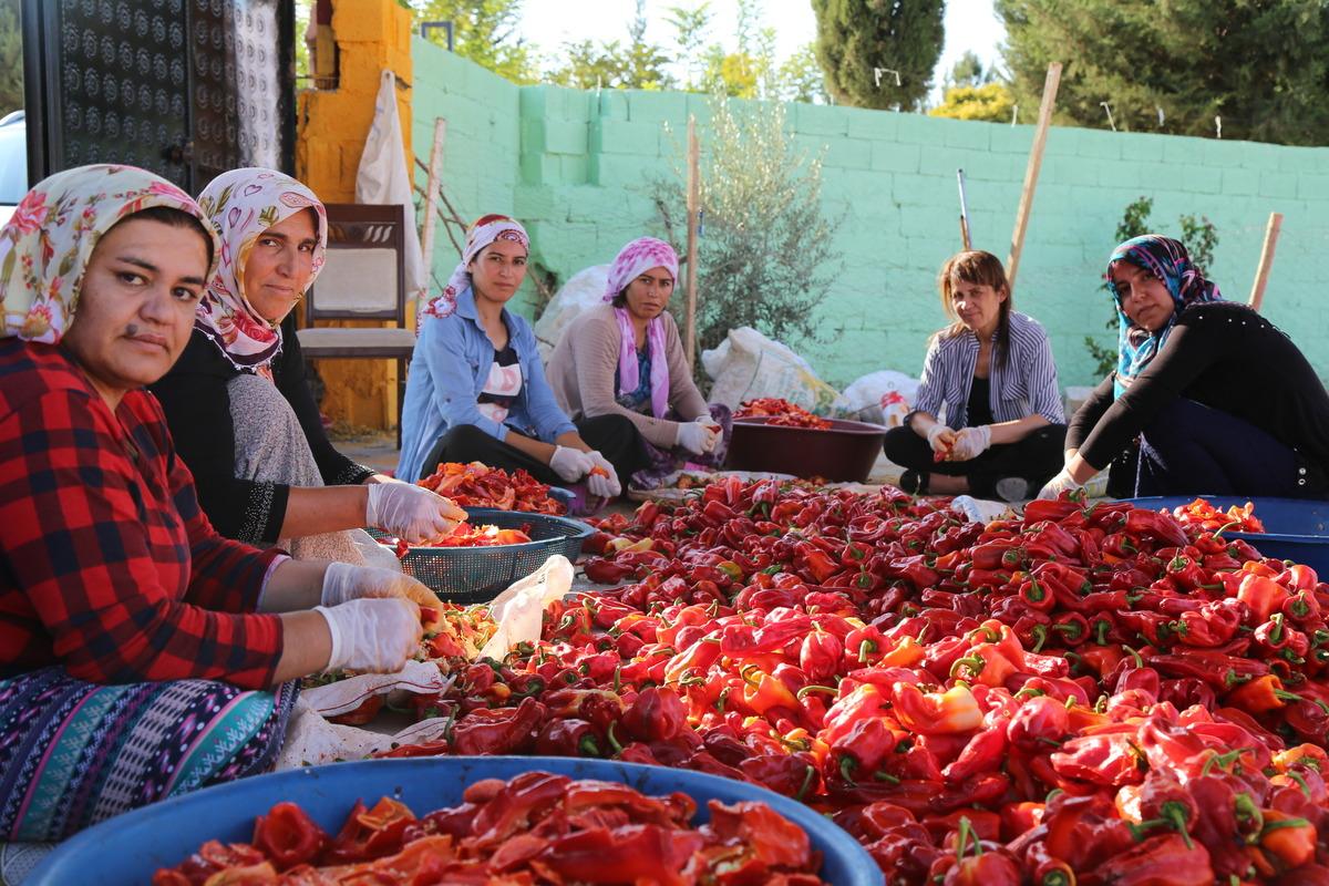Tarım iş&ccedil;isi kadınlar kooperatif kurdu, kendi &uuml;r&uuml;nlerini satıyorlar
