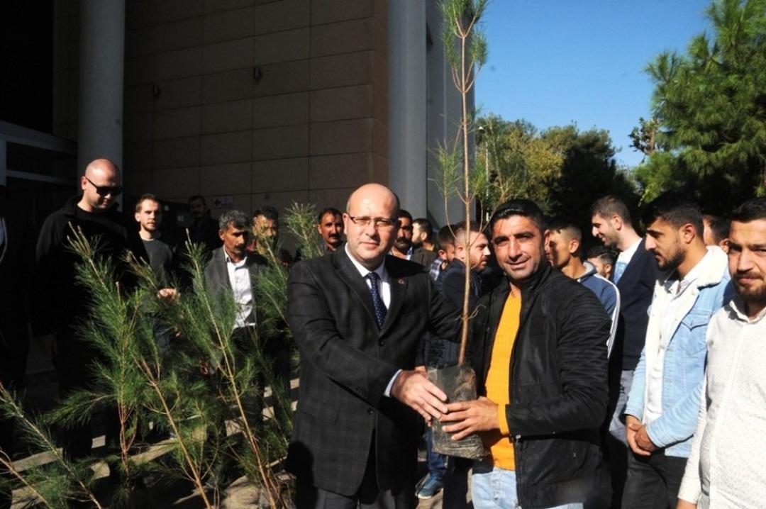 Cizre denetimli serbestlik y&uuml;k&uuml;ml&uuml;lerine 250 fidan dağıtıldı