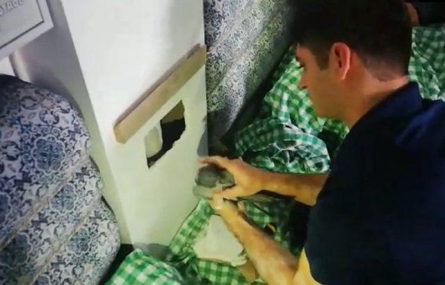 Bacaya sıkışan güvercini itfaiye kurtardı 1