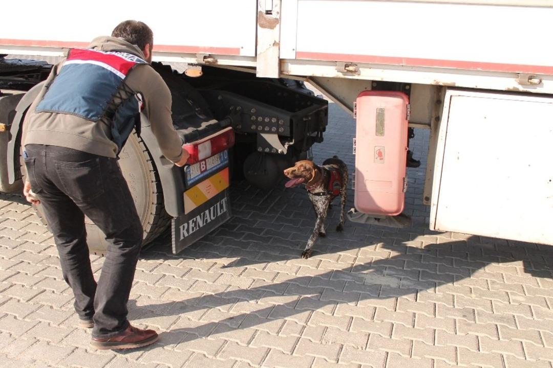 Tosya D-100 Karayolunda Huzur Operasyonu