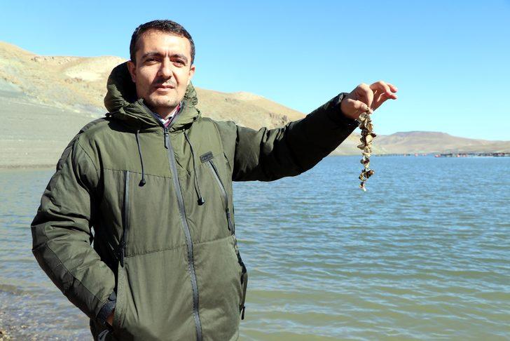 Van Gölü Havzası için 'zebra midye' tehlikesi G1