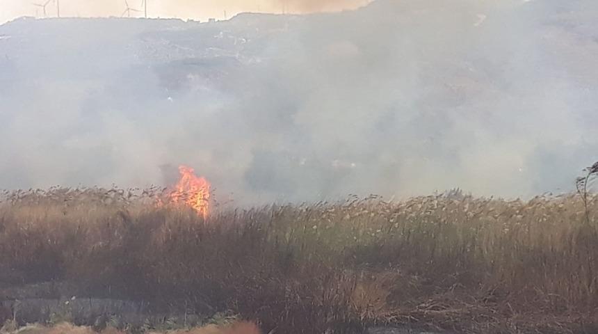 Samandağ’da sazlık yangını