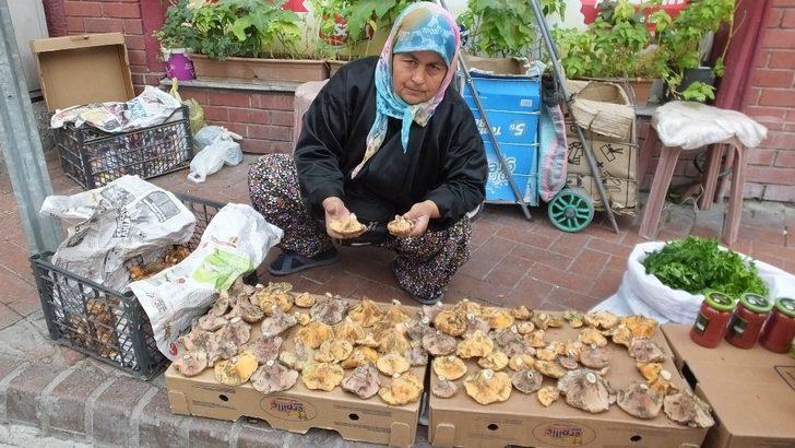 Burhaniye’de sezonun ilk melkisi ilgi gördü G2