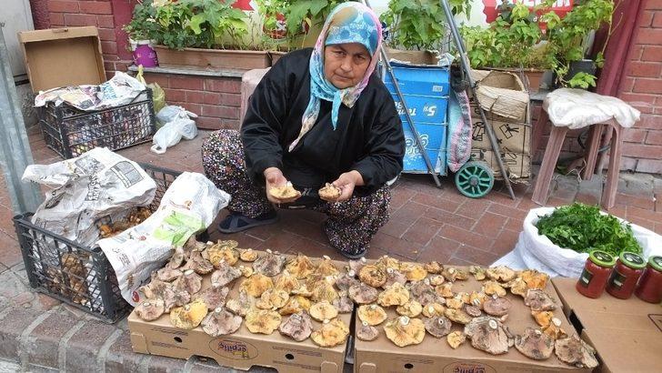 Burhaniye’de sezonun ilk melkisi ilgi gördü G3