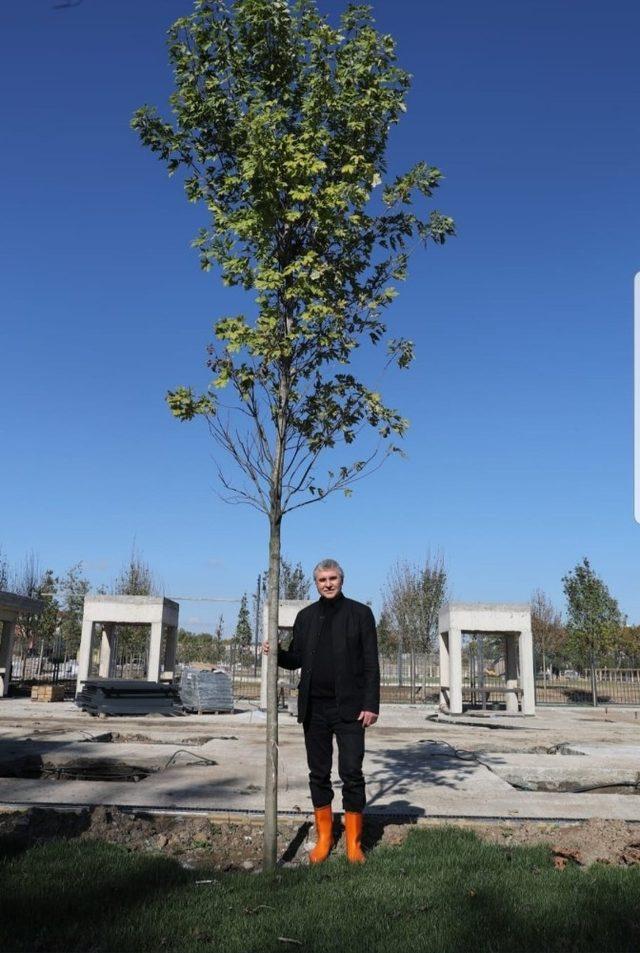 Başkan Yüce’den fidan ve ağaç kampanyasına davet